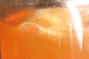 Honig in Gärung wirft Blasen
